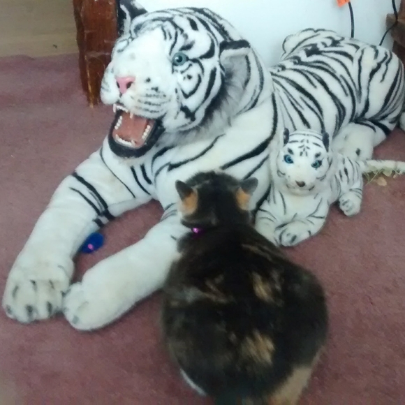 Meet your Posher, Joanie! - Picture 12 of 16